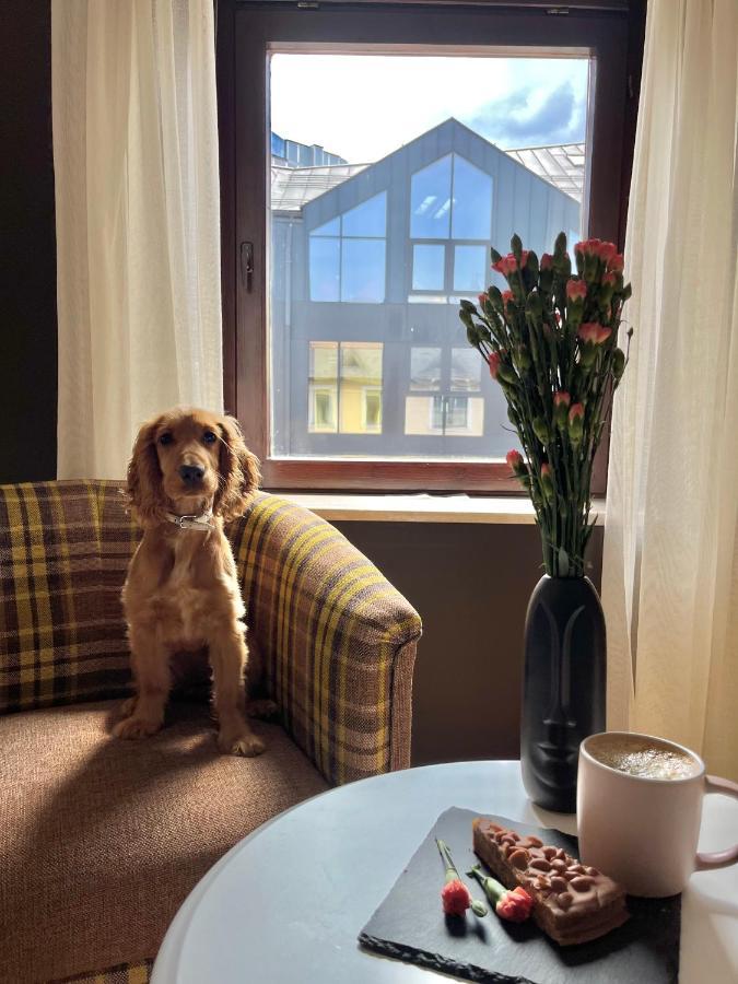 Apartament Grand Krupowki 47 扎科帕内 外观 照片